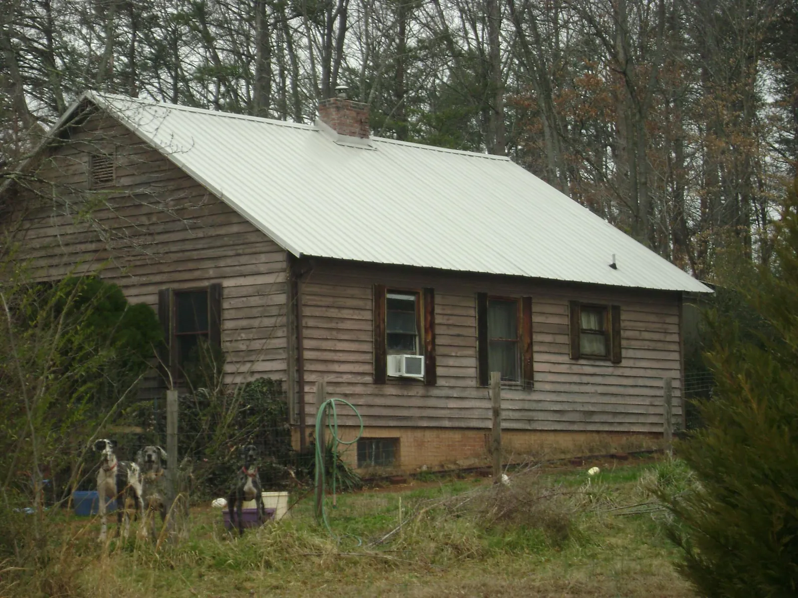White metal roof on an old wood sided farmhouse, from a Asphalt Shingle Roof Repair job in Elkhorn